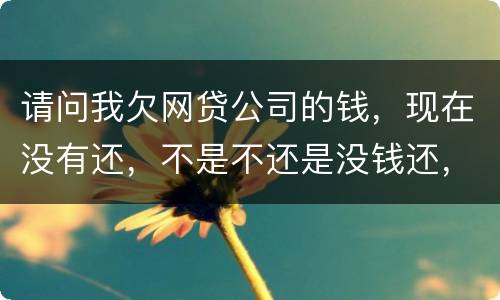 请问我欠网贷公司的钱，现在没有还，不是不还是没钱还，