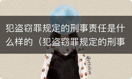 犯盗窃罪规定的刑事责任是什么样的（犯盗窃罪规定的刑事责任是什么样的呢）