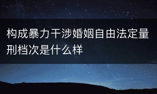 构成暴力干涉婚姻自由法定量刑档次是什么样