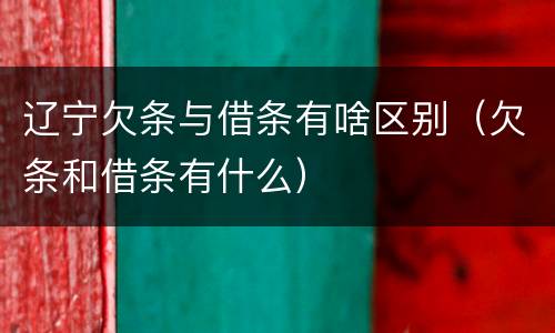 辽宁欠条与借条有啥区别（欠条和借条有什么）