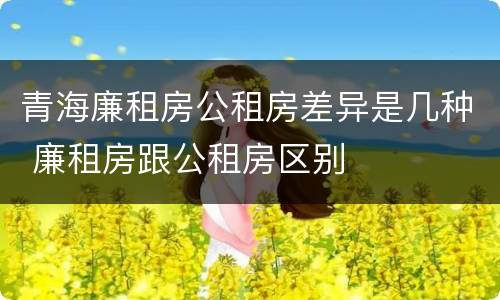 青海廉租房公租房差异是几种 廉租房跟公租房区别