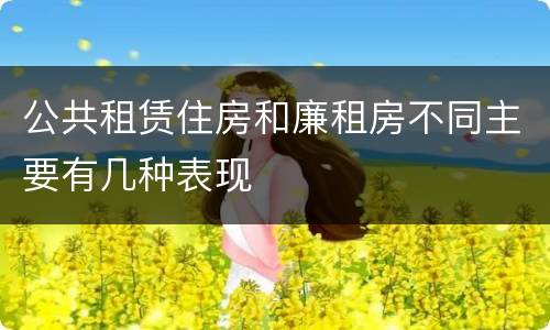 公共租赁住房和廉租房不同主要有几种表现