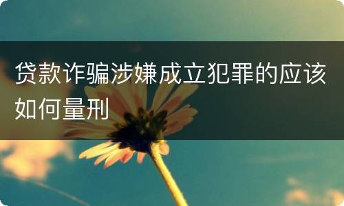 贷款诈骗涉嫌成立犯罪的应该如何量刑