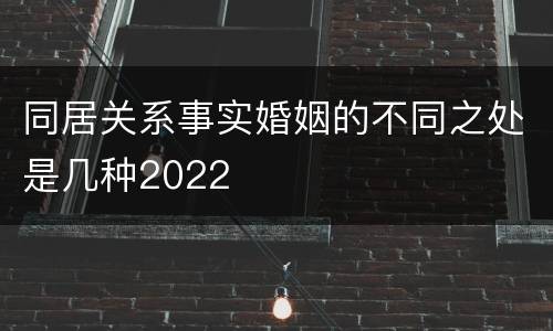 同居关系事实婚姻的不同之处是几种2022