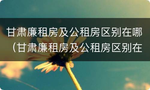 甘肃廉租房及公租房区别在哪（甘肃廉租房及公租房区别在哪儿）