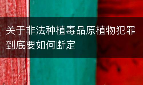 关于非法种植毒品原植物犯罪到底要如何断定