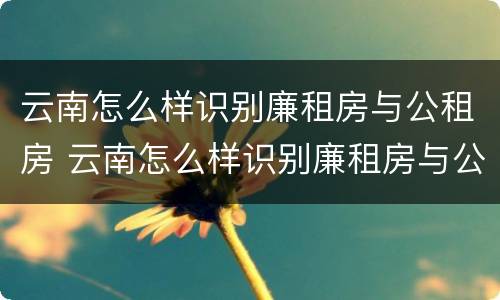 云南怎么样识别廉租房与公租房 云南怎么样识别廉租房与公租房的关系