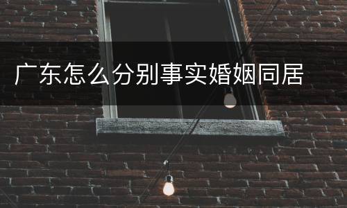 广东怎么分别事实婚姻同居