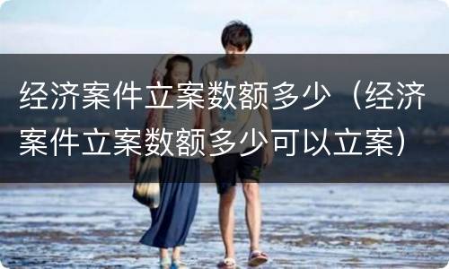 经济案件立案数额多少（经济案件立案数额多少可以立案）