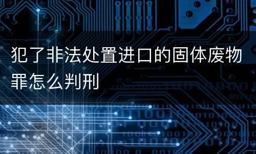 犯了非法处置进口的固体废物罪怎么判刑