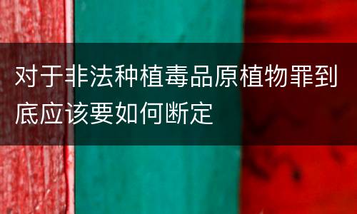 对于非法种植毒品原植物罪到底应该要如何断定