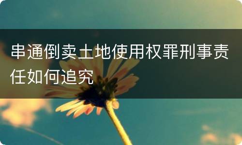 串通倒卖土地使用权罪刑事责任如何追究