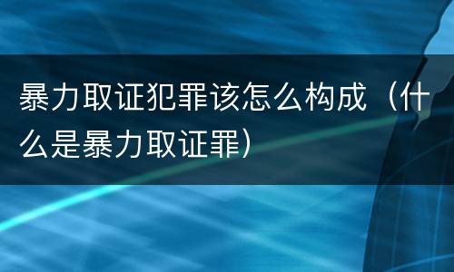 暴力取证犯罪该怎么构成（什么是暴力取证罪）