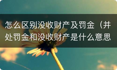 怎么区别没收财产及罚金（并处罚金和没收财产是什么意思）