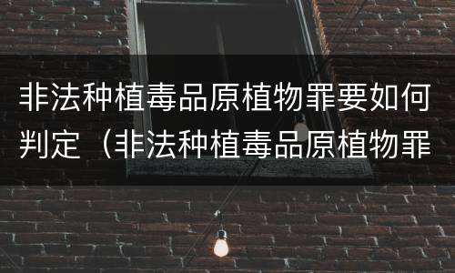 非法种植毒品原植物罪要如何判定（非法种植毒品原植物罪情节严重的三种情况）