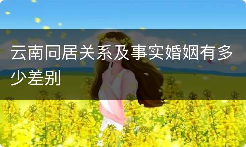 云南同居关系及事实婚姻有多少差别