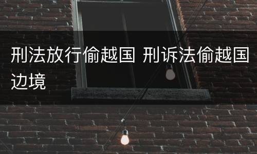 刑法放行偷越国 刑诉法偷越国边境