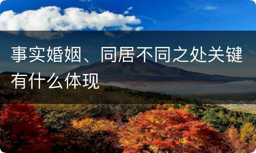 事实婚姻、同居不同之处关键有什么体现