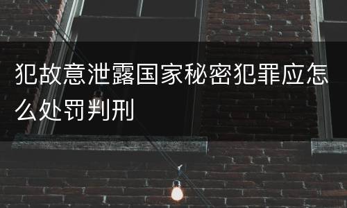 犯故意泄露国家秘密犯罪应怎么处罚判刑