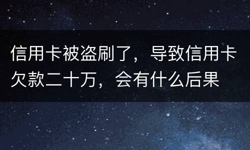 信用卡被盗刷了，导致信用卡欠款二十万，会有什么后果