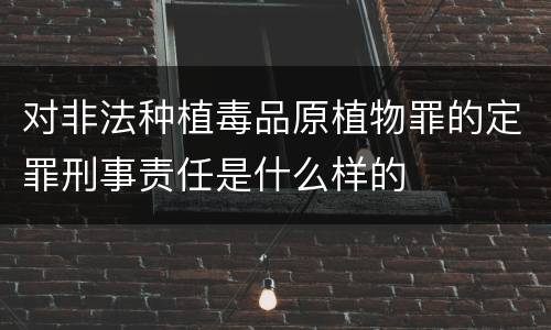对非法种植毒品原植物罪的定罪刑事责任是什么样的