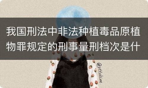 我国刑法中非法种植毒品原植物罪规定的刑事量刑档次是什么