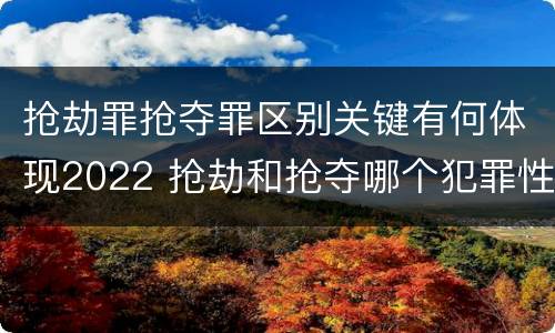 抢劫罪抢夺罪区别关键有何体现2022 抢劫和抢夺哪个犯罪性质严重