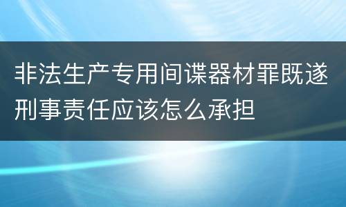 非法生产专用间谍器材罪既遂刑事责任应该怎么承担