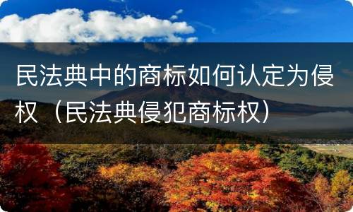 民法典中的商标如何认定为侵权（民法典侵犯商标权）