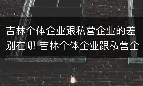 吉林个体企业跟私营企业的差别在哪 吉林个体企业跟私营企业的差别在哪儿