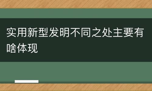 实用新型发明不同之处主要有啥体现