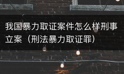 我国暴力取证案件怎么样刑事立案（刑法暴力取证罪）