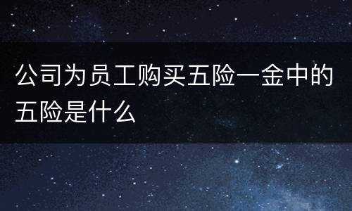 公司为员工购买五险一金中的五险是什么