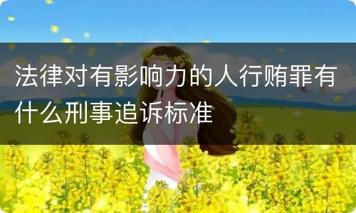 法律对有影响力的人行贿罪有什么刑事追诉标准