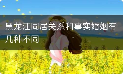 黑龙江同居关系和事实婚姻有几种不同