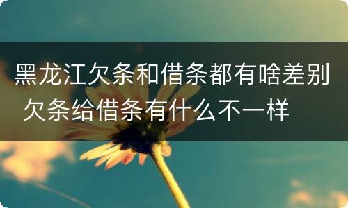 黑龙江欠条和借条都有啥差别 欠条给借条有什么不一样