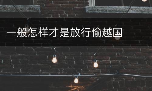 一般怎样才是放行偷越国