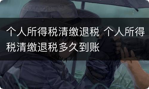 个人所得税清缴退税 个人所得税清缴退税多久到账