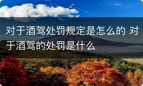 对于酒驾处罚规定是怎么的 对于酒驾的处罚是什么