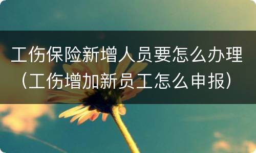 工伤保险新增人员要怎么办理（工伤增加新员工怎么申报）