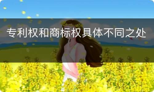 专利权和商标权具体不同之处