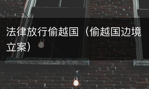 法律放行偷越国（偷越国边境立案）