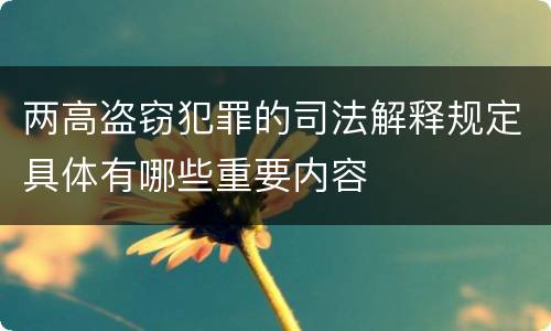两高盗窃犯罪的司法解释规定具体有哪些重要内容