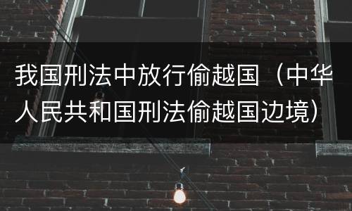 我国刑法中放行偷越国（中华人民共和国刑法偷越国边境）