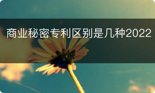 商业秘密专利区别是几种2022