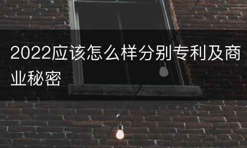 2022应该怎么样分别专利及商业秘密