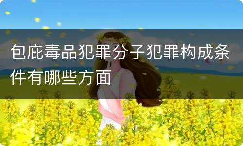 包庇毒品犯罪分子犯罪构成条件有哪些方面