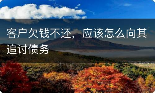 客户欠钱不还，应该怎么向其追讨债务