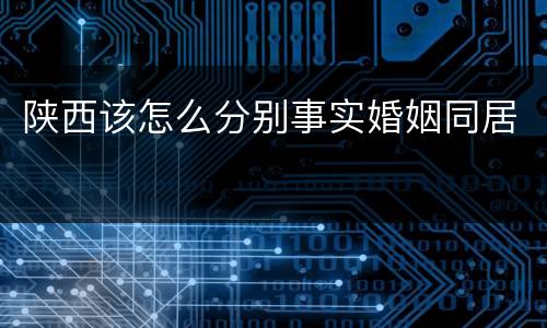 陕西该怎么分别事实婚姻同居