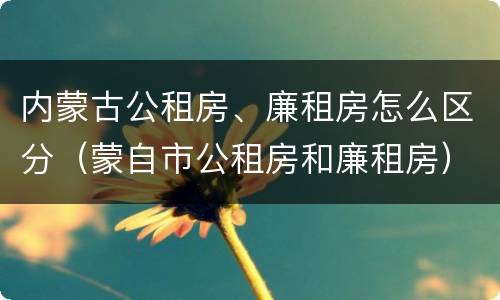 内蒙古公租房、廉租房怎么区分（蒙自市公租房和廉租房）